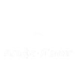 Партнер програми 13